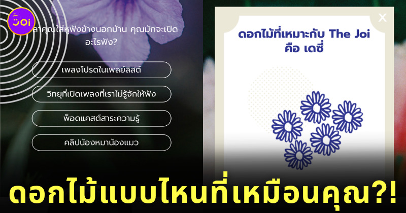 แบบทดสอบดอกไม้แบบไหนที่เหมือนกับคุณ