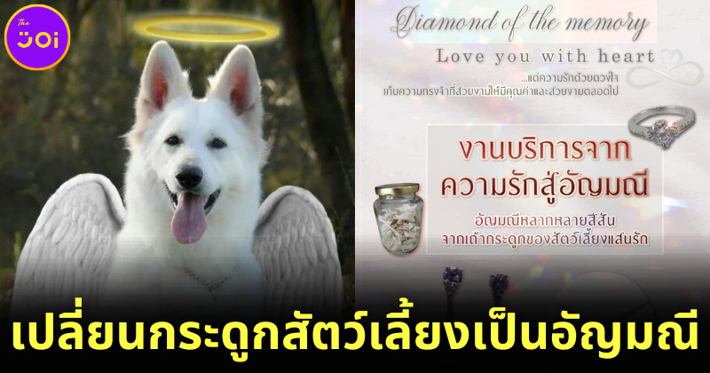 คนรักสัตว์ถูกใจสิ่งนี้! สัตวแพทย์มช. เปลี่ยนกระดูกสัตว์เลี้ยงเป็นอัญมณี