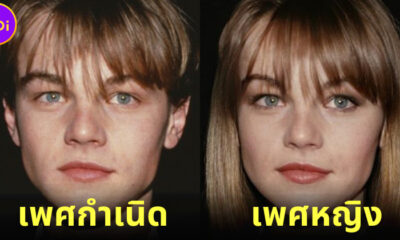ส่อง 40 ภาพดาราฮอลลีวูดชายชื่อดัง หากเกิดเป็นผู้หญิงจะหน้าตาเป็นอย่างไร