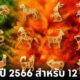 แจกสีมงคลประจำปี 2566 สำหรับ 12 นักษัตร ใช้ได้ทั้งสีเสื้อ สีกระเป๋าเงิน และสีรถ 3