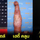 ไม่จึ้งก็ต้องอึ้งมาก! กับ 22 ชุดดาราฮอลลีวูดที่ถูกพูดถึงมากที่สุดในปี 2022
