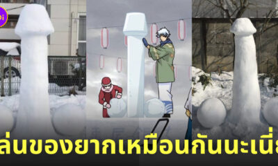 ปืนใหญ่นีโออาร์มสตรองไซโคลนเจ็ทอาร์มสตรอง หิมะ