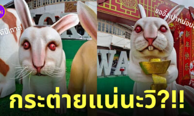 รูปปั้นกระต่าย ตรุษจีน น่ากลัว