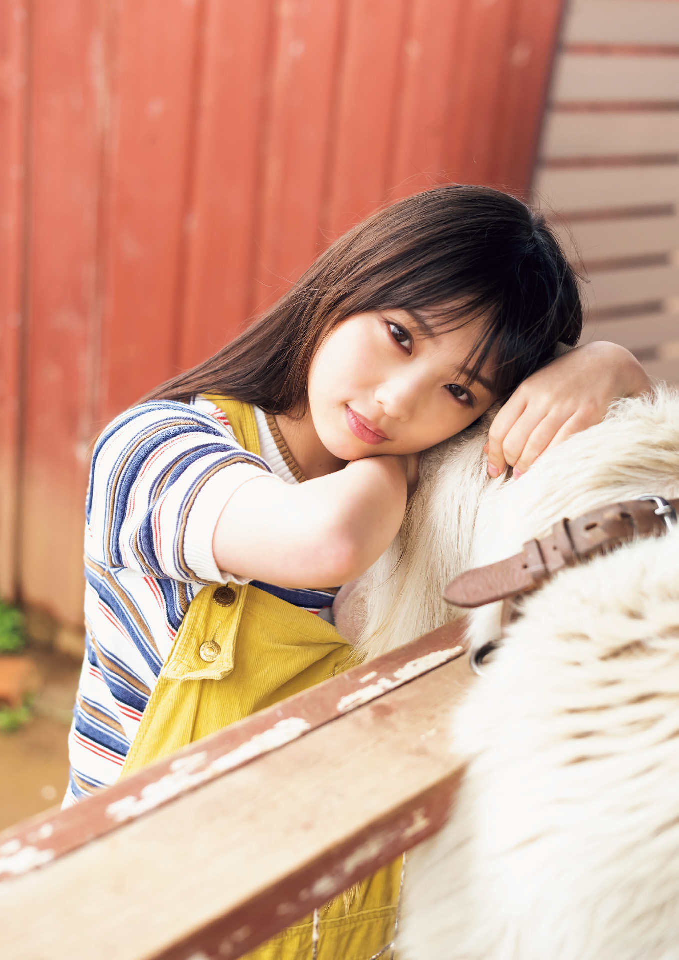 Yuuki Yoda Nogizaka46