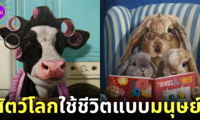 ภาพวาดสัตว์โลกใช้ชีวิตแบบมนุษย์ Lucia Heffernan