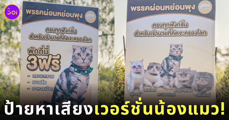 ป้ายนโยบายหาเสียง แมว พิษณุโลก