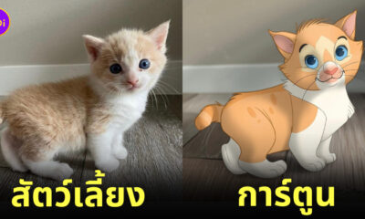 ภาพสัตว์เลี้ยง ตัวการ์ตูนดิสนีย์