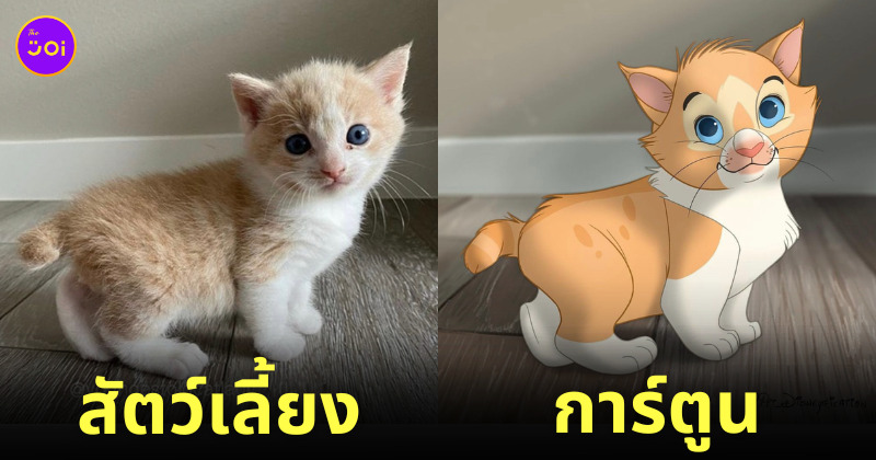 ภาพสัตว์เลี้ยง ตัวการ์ตูนดิสนีย์