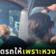 TikTok คลิปหมาล็อครถ