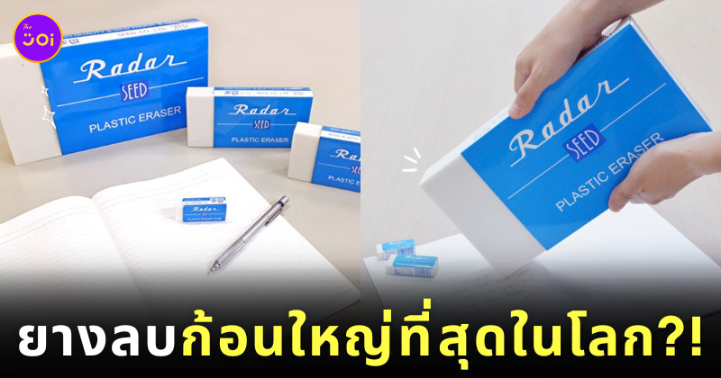 ยางลบยักษ์ Seed