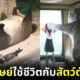 ภาพวาดคนกับสัตว์โลกตัวยักษ์