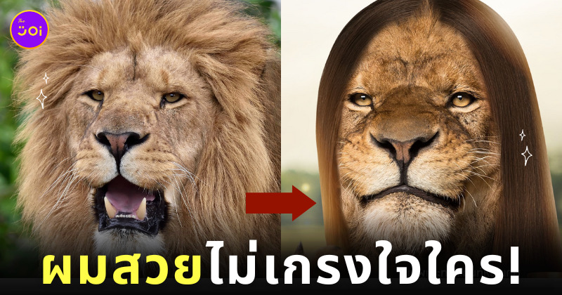 สิงโตผมตรง แชมพูหอมเกศ แม่หญิงลี