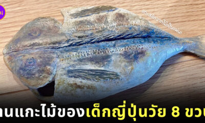เด็กญี่ปุ่น 8 ขวบ แกะสลักไม้ ปลาย่าง