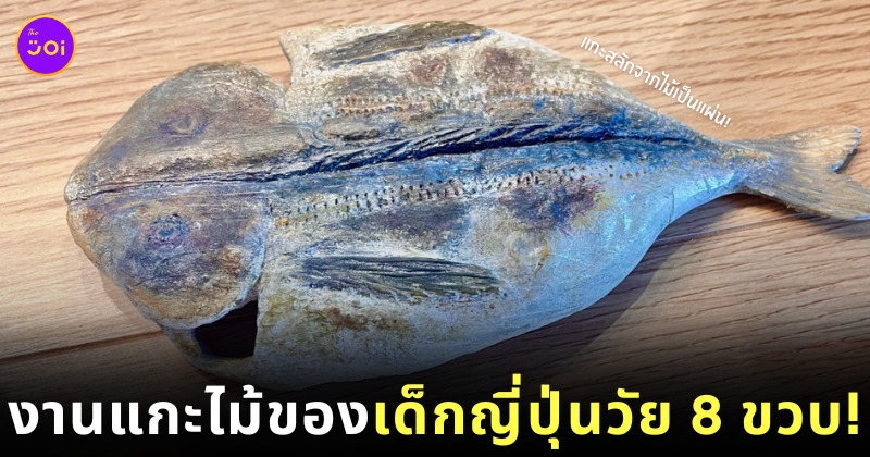 เด็กญี่ปุ่น 8 ขวบ แกะสลักไม้ ปลาย่าง