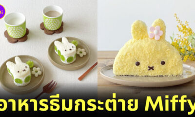 ไอเดียแต่งจานอาหาร ของหวาน ขนม การ์ตูนกระต่าย miffy