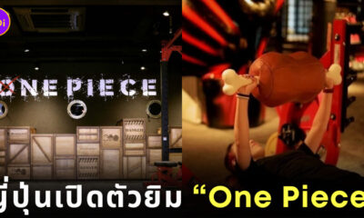 One Piece Fitness Bragmen ยิมวันพีซ ญี่ปุ่น