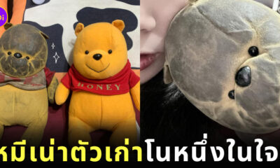 แฟนติด ตุ๊กตาเน่า ตุ๊กตาหมีพูห์