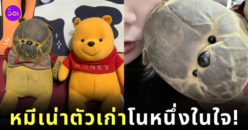 แฟนติด ตุ๊กตาเน่า ตุ๊กตาหมีพูห์
