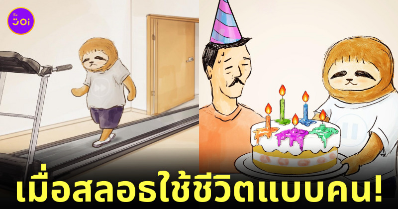 ภาพสลอธใช้ชีวิตแบบมนุษย์