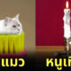 ภาพตัดต่อสัตว์ทุกชนิดผสมเข้ากับสิ่งของต่าง ๆ