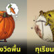 ภาพวาด การ์ตูน ผักผลไม้ ใช้ชีวิตแบบคน