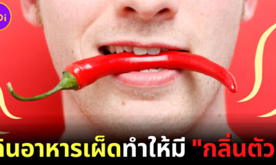 กิน “อาหารรสเผ็ด” ทำให้มีกลิ่นตัวแรง... จริงเหรอ?
