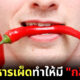 กิน “อาหารรสเผ็ด” ทำให้มีกลิ่นตัวแรง... จริงเหรอ?