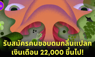 งานวิจัยผลิตภัณฑ์ทำความสะอาดรับสมัคร คนชอบดมกลิ่นทุกอย่างยกเว้นจิมิ รายได้ 22,000 ขึ้นไป!