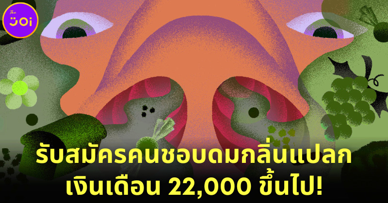 งานวิจัยผลิตภัณฑ์ทำความสะอาดรับสมัคร คนชอบดมกลิ่นทุกอย่างยกเว้นจิมิ รายได้ 22,000 ขึ้นไป!