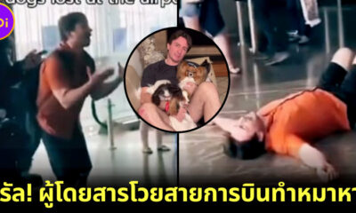 ผู้โดยสารโวยสายการบินทำหมาหายระหว่างแวะพักเครื่องที่ตุรกี ที่แท้! แค่ห้ามเข้าพบน้อง ๆ ตามระเบียบ