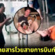 ผู้โดยสารโวยสายการบินทำหมาหายระหว่างแวะพักเครื่องที่ตุรกี ที่แท้! แค่ห้ามเข้าพบน้อง ๆ ตามระเบียบ