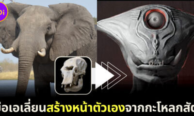 ส่อง 23 ภาพเมื่อมนุษย์ต่างดาวสร้างตัวเองจากกะโหลกสัตว์ขึ้นมาใหม่ หน้าตาของมันจะชวนอึ้งหรือทึ่ง?