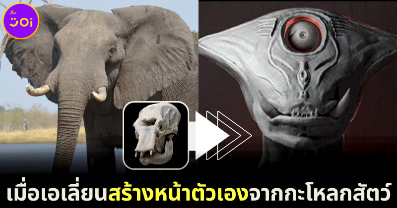 ส่อง 23 ภาพเมื่อมนุษย์ต่างดาวสร้างตัวเองจากกะโหลกสัตว์ขึ้นมาใหม่ หน้าตาของมันจะชวนอึ้งหรือทึ่ง?