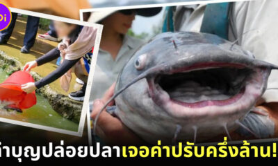 หวังบุญแต่ได้บาป! สาวจีนปล่อยปลากว่า 12.5 ตัน หวังโชคลาภ แต่กลับต้องเจอค่าปรับกว่าครึ่งล้าน!