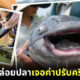 หวังบุญแต่ได้บาป! สาวจีนปล่อยปลากว่า 12.5 ตัน หวังโชคลาภ แต่กลับต้องเจอค่าปรับกว่าครึ่งล้าน!