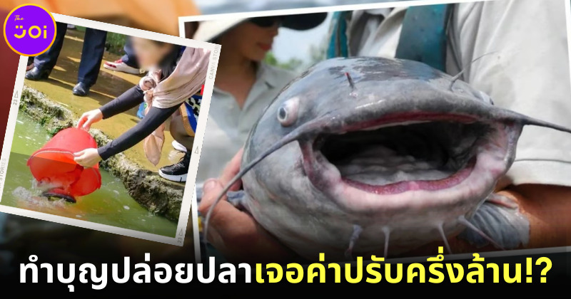 หวังบุญแต่ได้บาป! สาวจีนปล่อยปลากว่า 12.5 ตัน หวังโชคลาภ แต่กลับต้องเจอค่าปรับกว่าครึ่งล้าน!