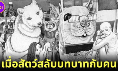 ส่อง 30 ภาพเมื่อสัตว์สลับบทบาทกับคน เห็นแล้วเจ็บใจจี๊ด!