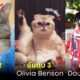เผย 10 อันดับสัตว์เลี้ยงที่รวยที่สุดในโลก มีน้องแมวของ เทเลอร์ สวิตฟต์ (Taylor Swift) ด้วย