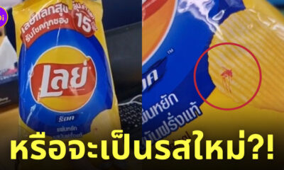 ถุงเลย์รูปยุง