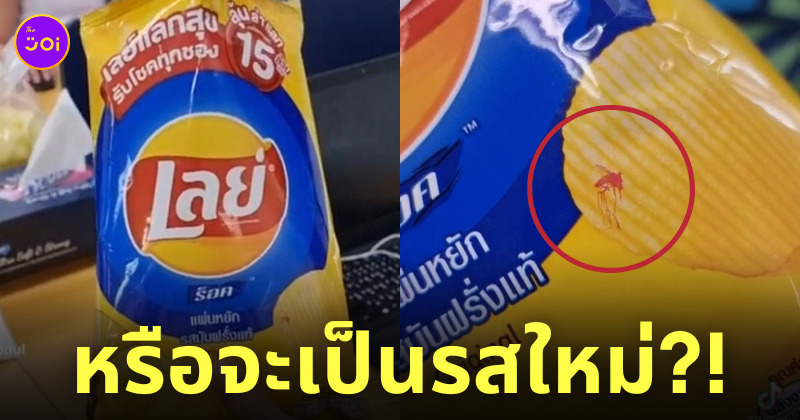 ถุงเลย์รูปยุง