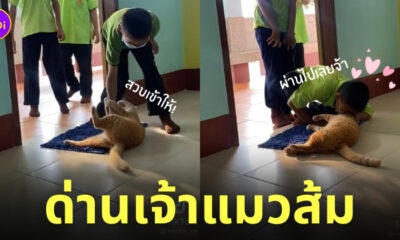 ด่านแมวส้ม นักเรียนเข้าห้องเรียน