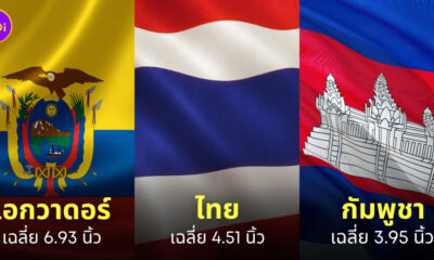 อันดับอวัยวะเพศชาย ยาวสั้น ทั่วโลก 2023