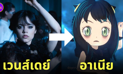 อาเนีย spx x family เต้นท่าเวนส์เดย์ wednesday