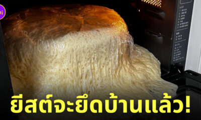 หมักแป้งขนมปัง ลืม