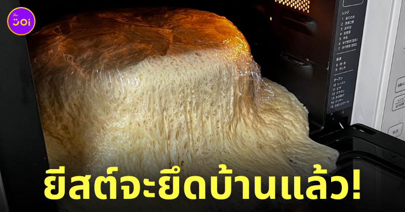 หมักแป้งขนมปัง ลืม