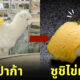 อัลปาก้า ซูชิไข่หวาน
