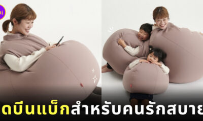 ชุดบีนแบค ชุดบีนแบ็ก BeanBag สินค้าญี่ปุ่น Hanalolo
