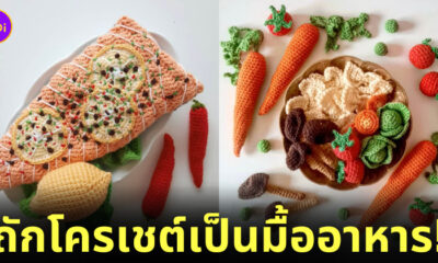 ถักโครเชต์ Crochet อาหารน่ารัก virkase