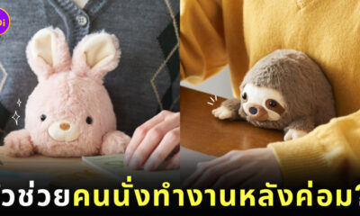 ตุ๊กตาเกาะโต๊ะ ฟุนบารุสึ นั่งหลังตรง funbarus