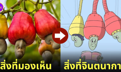 ภาพวาด ใบหน้า การ์ตูน สิ่งของต่าง ๆ